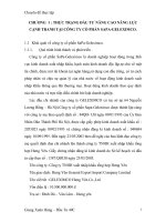 MỘT SỐ GIẢI PHÁP NÂNG CAO NĂNG LỰC CẠNH TRANH CỦA CÔNG TY CỔ PHẦN SAPA-GELEXIMCO