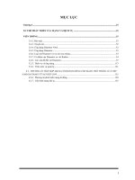 PHƯƠNG ÁN TÍCH HỢP MẠNG CỐ ĐỊNH-DI ĐỘNG CHO MẠNG VIỄN THÔNG CỦA VIỆT NAM GIAI ĐOẠN TỪ NAY ĐẾN 2010