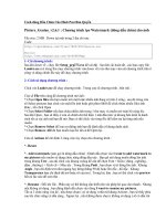 DONG DAU CHIM TREN HINH