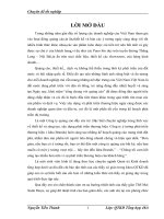 hoàn thiện công tác lập kế hoạch marketing tại công ty Ý tuởng phát triển thuơng hiệu  Công ty Ý tưởng phát triển thương hiệu (Idea brands ) 