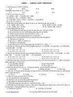 amin-aminoaxit-protein