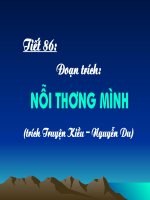 Tiết 86: Nỗi thương mình