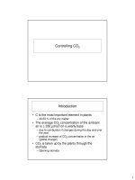 ảnh hưởng của CO2 đến quang hợp và sinh trưởng cây trồng