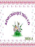 Bài 45: Sinh sản hữu tính ở động vật