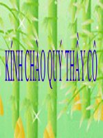 hội giảng cấp trường