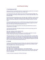 tư liệu ngữ văn