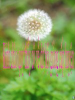 Giáo án Hội Giảng