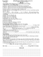 Đề kiêm tra häc kỳ II(Theo CT moi)