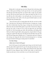 xây dựng một nền kinh tế mở,đa phương hoá và  đa dạng hoá quan hệ kinh tế đối ngoại ,hướng mạnh về xuất khẩu