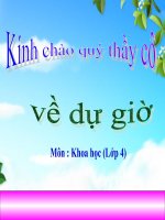 không khí bị ô nhiễm