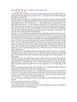 Văn hóa Việt Nam Tk X- XIV