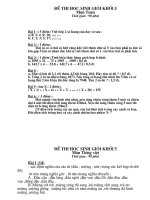 de kiem tra HSG lop 5