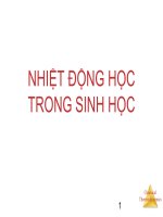 Năng lượng sinh học