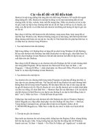 Các vấn đề đối với Hề điều hành