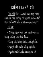 Địa lý ngành trồng trọt