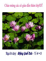 Thể tích HHCN Toán 5