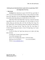 Phân tích theo mô hình swot, phương hướng chiến lược phát triển Eximbank 