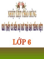 Tiết 56: Trả bài bài kiểm tra Tiếng việt