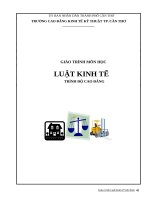 giáo trình luật kinh tế