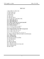 hàm số và đồ thị (SKKN)