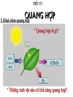 bai giang sinh hoc 10