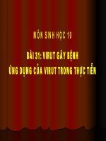 Bai 31: Vi rut gay benh va ung dung cua vi rut trong thuc tien