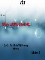 SHCNĐV nhóm 2 năng lượng sinh họcx 
