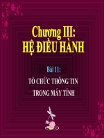 GA Điện tử bài 11