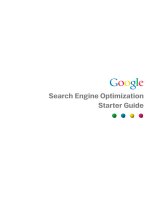 search engine optimization starter guide vip