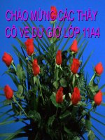 HÀNG HÓA TIỀN TỆ THỊ TRƯỜNG