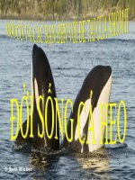 ĐỜI SỐNG CÁ HEO