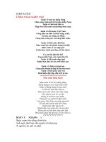 Chào một năm mới của Việt Nam