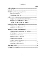 tiẻu luận ( ĐVKXS)