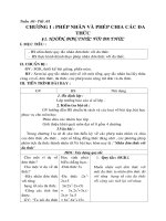 Giáo án Đại số 8