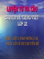 Luyện từ và câu