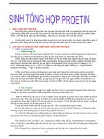 sinh tổng hợp protein