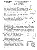 Đề thi HSG 12 Tỉnh Nghệ An Năm học 2008-2009