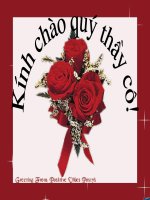 Tiết 118: Câu trần thuật đơn không có từ 