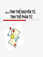 Tinh the nguyen tu, phan tu