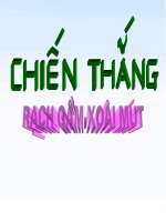 Phong trào Tây Sơn