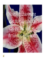 Tiết 39: Từ trái nghĩa