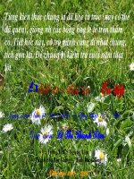 Tiết 50. bài Ôn tập ( S. lần 1)