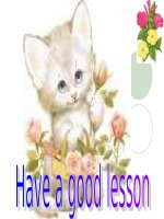 unit 15 leson 1 -Ngoc Hoa LTT-Hai Phong