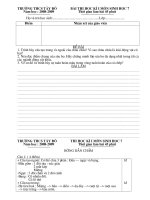 De va dap an thi HKI-Sinh7-Tay Do