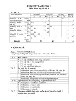 Noel 2008-Đề thi Sinh HK1 lớp 9 kèm đáp án (Đề 07)