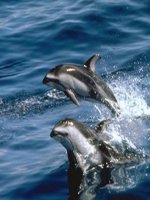 Unit 3 : Getting started-Listen and read