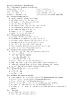 Tự chọn : Bài tập chương I đại số