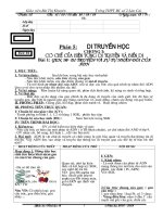 Giáo án sinh 12 cơ bản