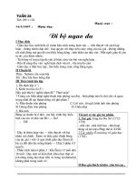 Ngữ văn lớp 8 tuần 28