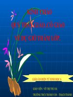 GAĐT THAO GIẢNG - Bài 5: Nấm